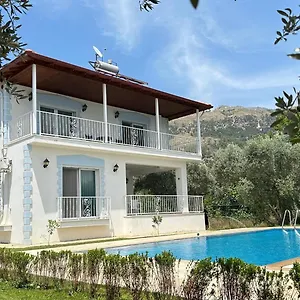 Ayaklı Villa